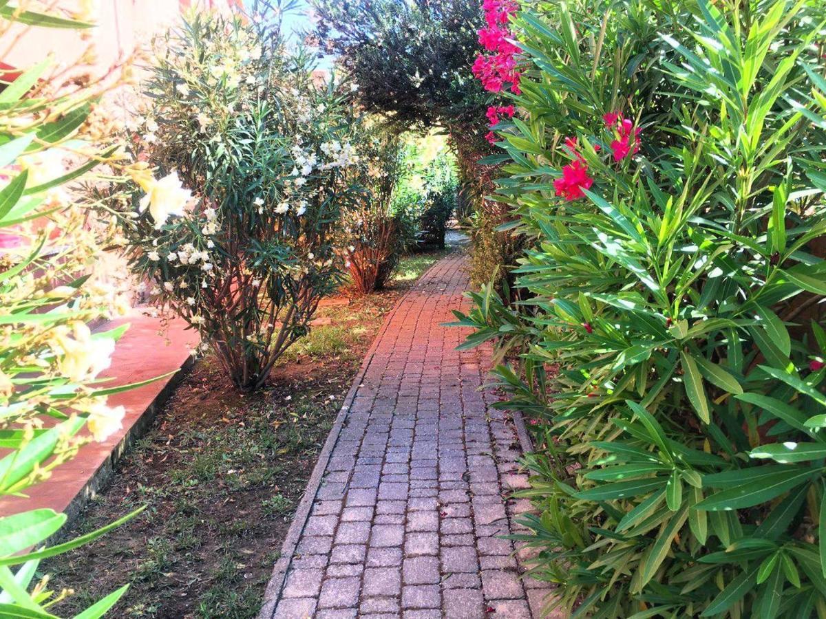 Regina Del Mare Holiday Apartments Tirrenia Exteriör bild